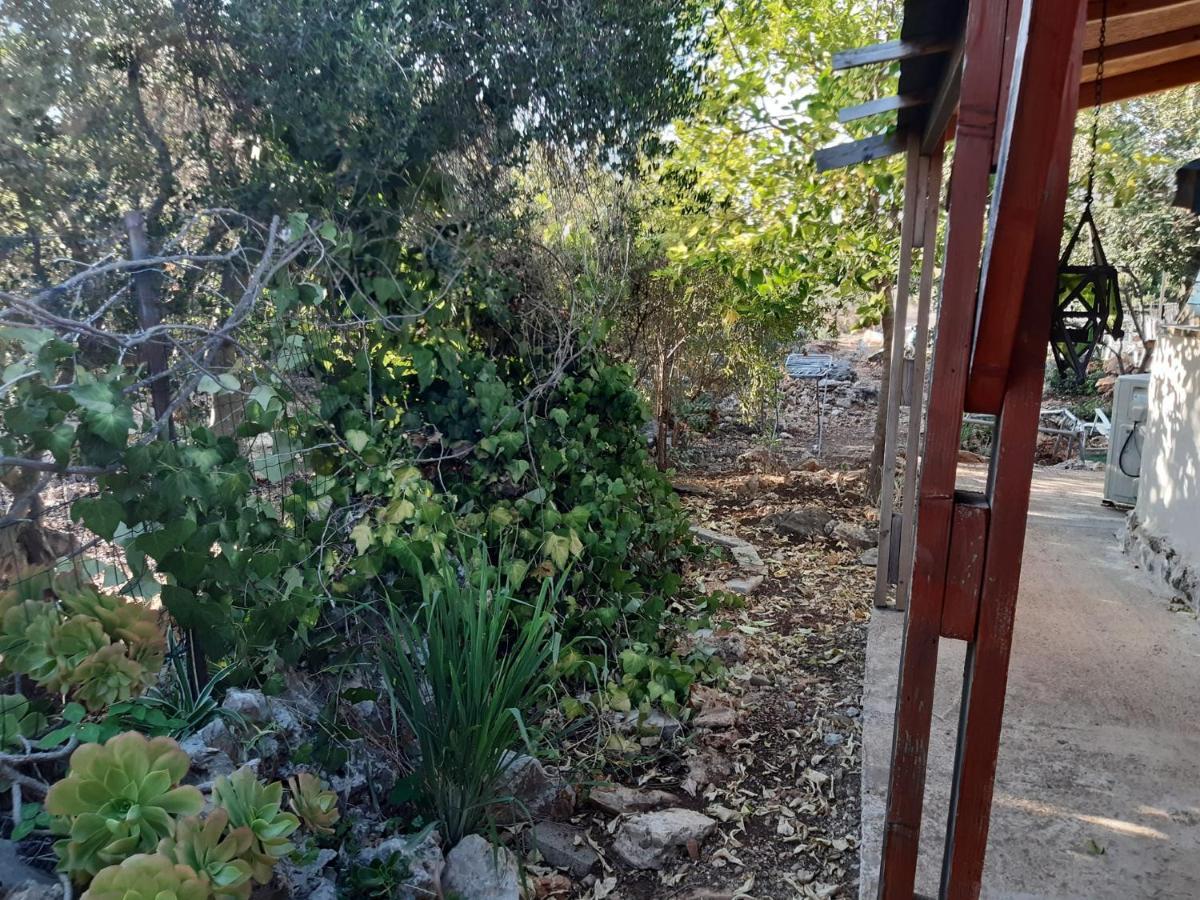 בקתת עץ בחורש במנות - דום גיאודזי - Wooden Cabin In Manot Экстерьер фото